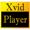 xvid video codec