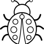 Ladybug Coloring for Kids