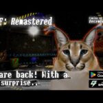 Five nights with Cats