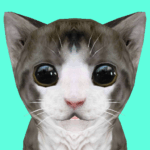 Cat Simulator in the City